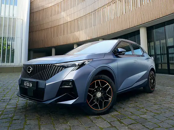 gs3