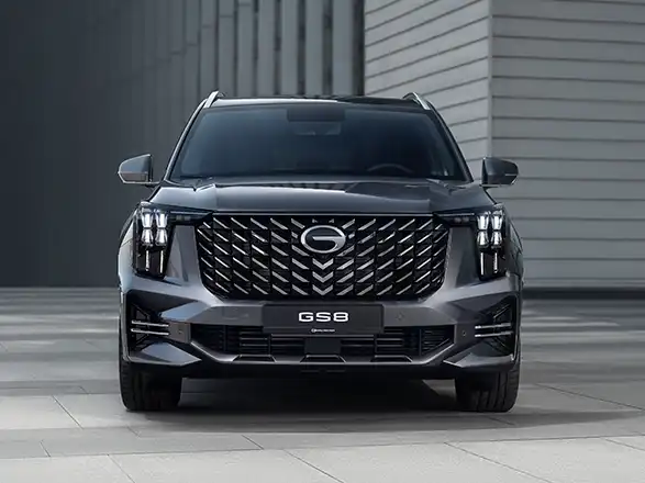 gs8