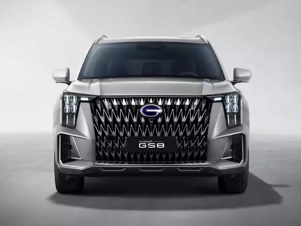gs8_new